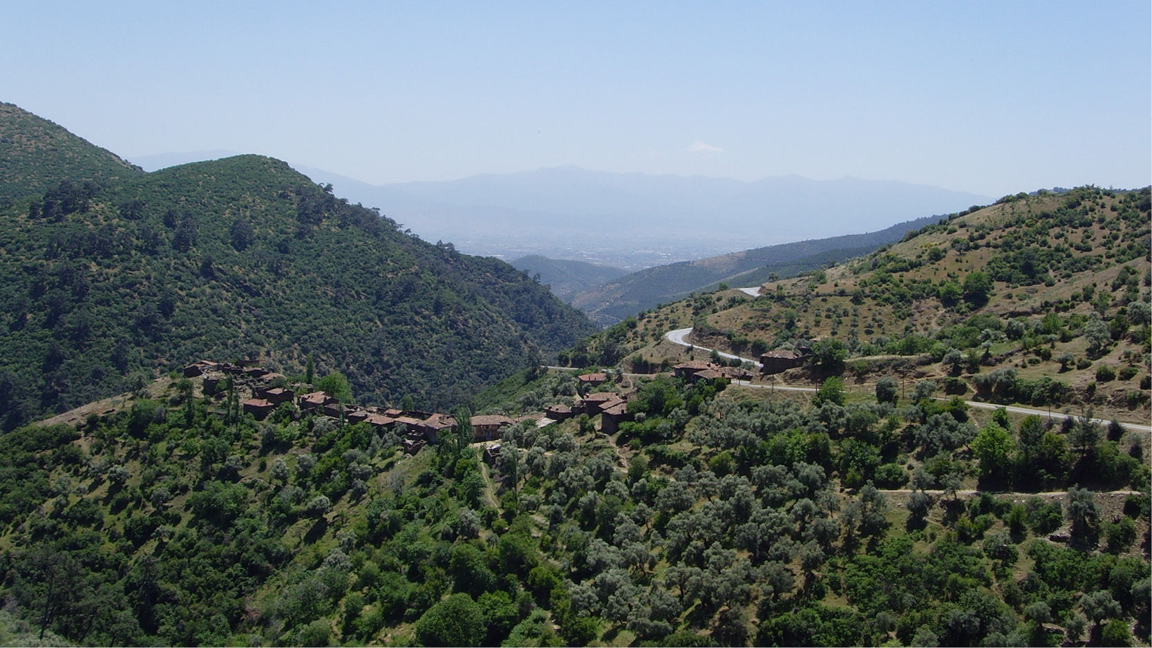 Efeler Yolu